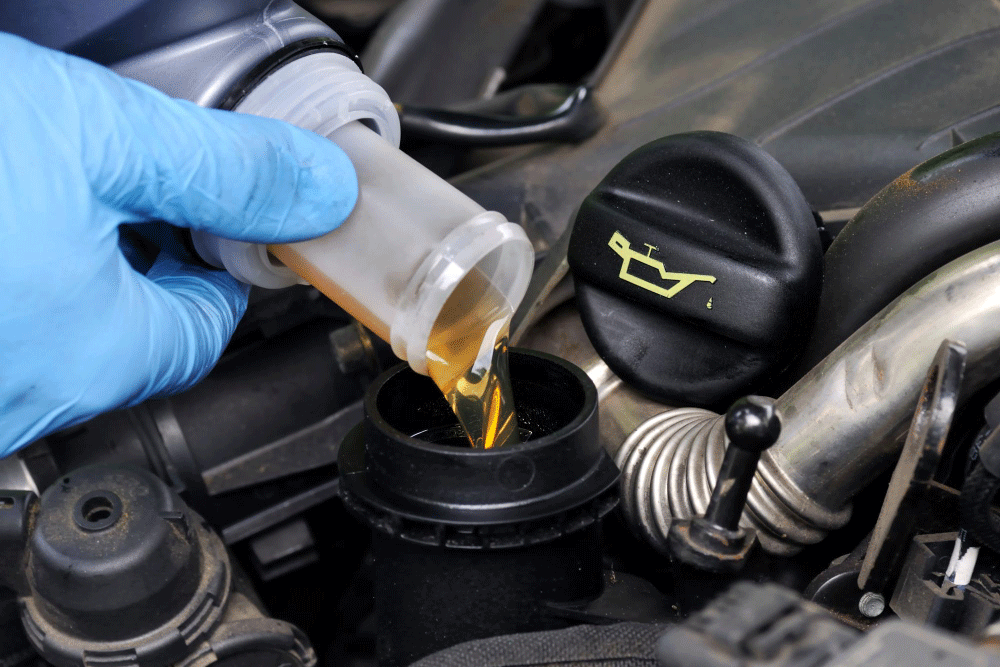 2021 Ford Escape 1.5L Oil Capacity And Recommended Oil Type