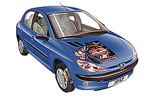 Identifying fault codes Peugeot 206 1998 - 2001