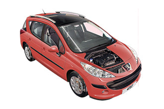 Identifying fault codes Peugeot 207 2006 - 2009