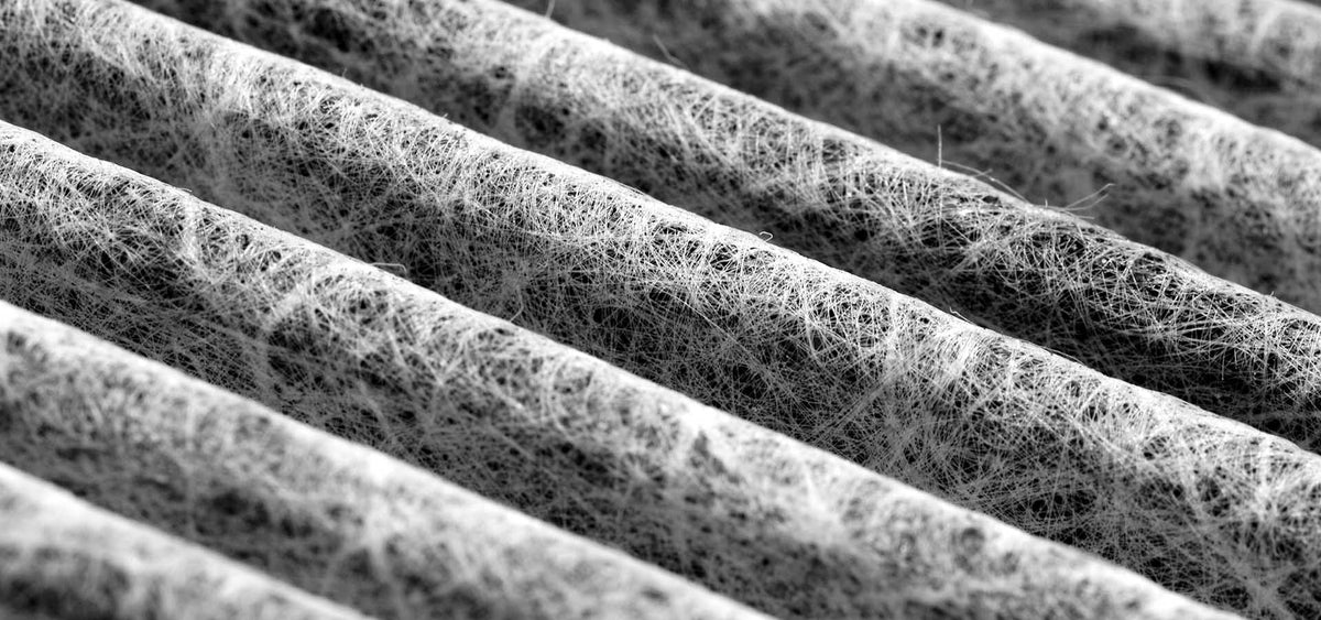 Common problems with pollen filters (and how to make them last)