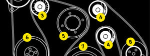 Anatomy of an accessory drive belt