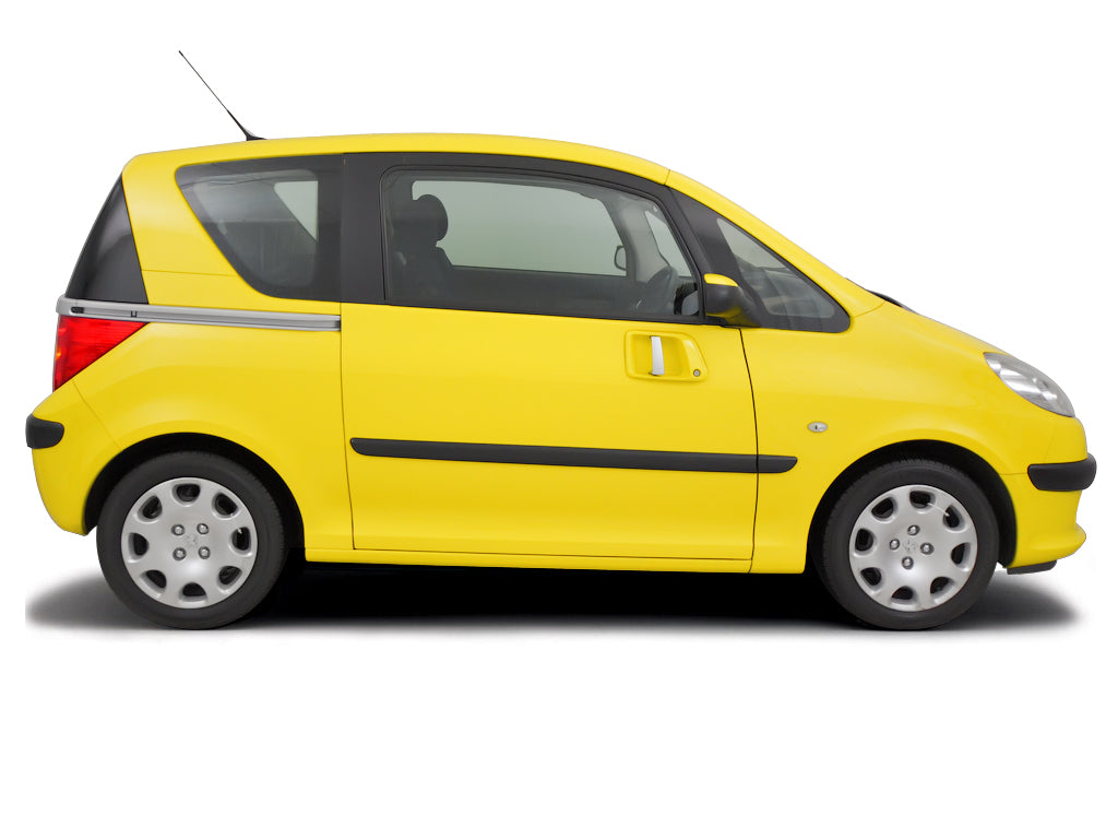 Battery check Peugeot 1007 2005 - 2010