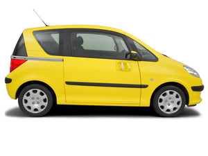 Battery check Peugeot 1007 2005 - 2010