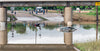 Car submerged under flood waters Texas