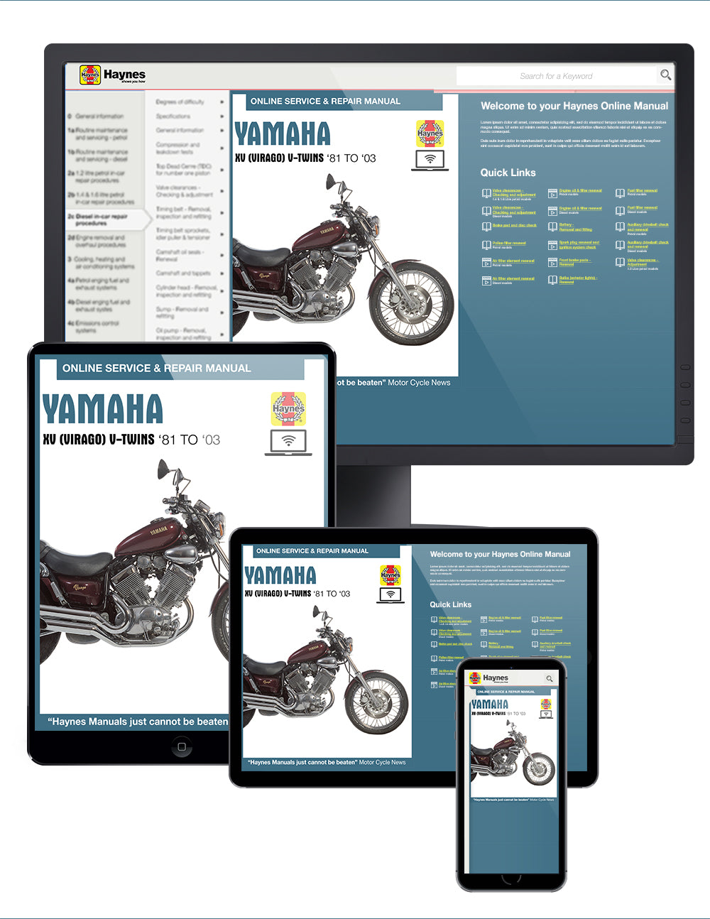 Yamaha XV (Virago) V-Twins 535cc, 699cc, 748cc, 920cc, 981cc & 1063cc (81-03) Haynes Repair Manual