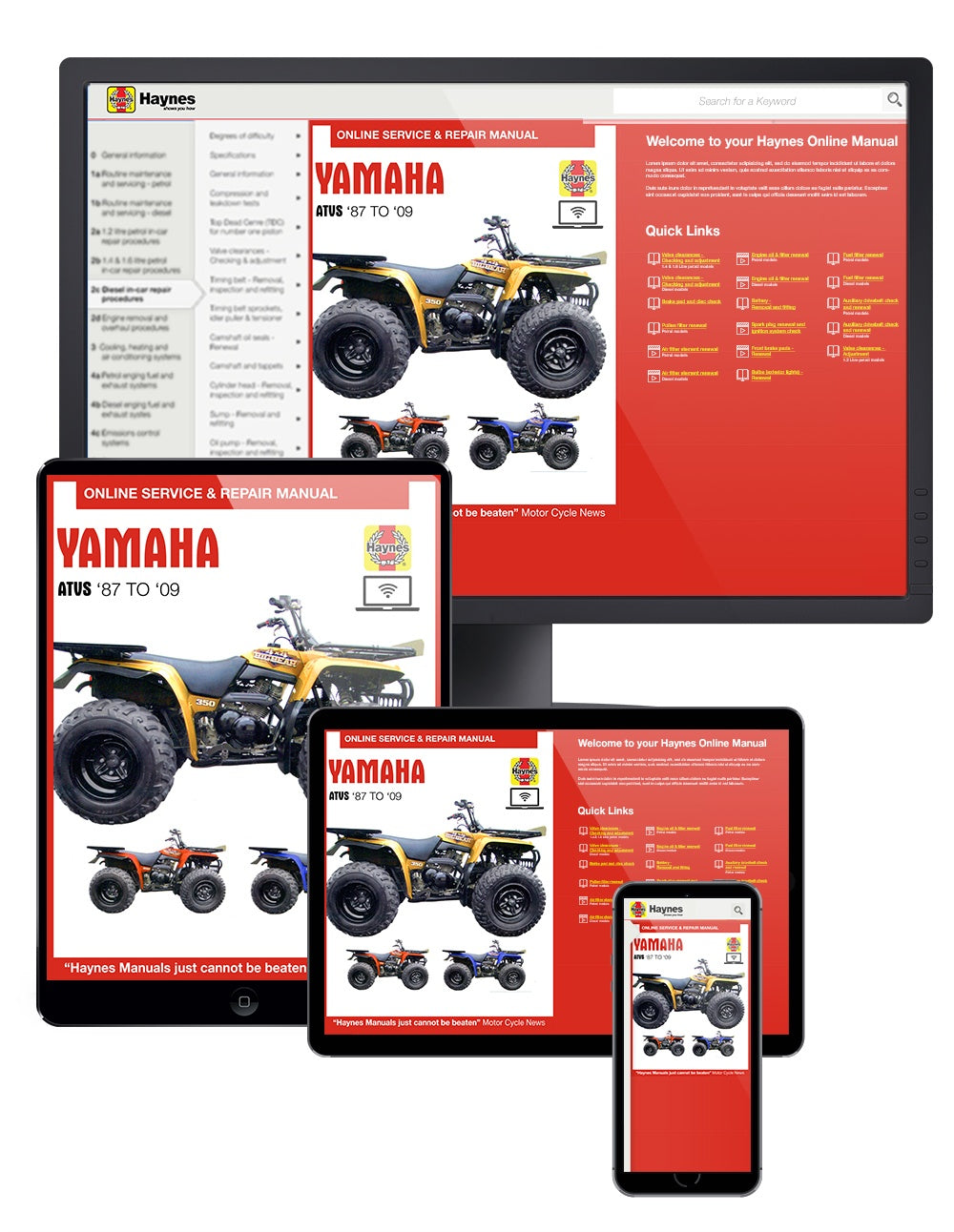 Yamaha YFB & YFM Timberwolf, Bear Tracker, Bruin, & Big Bear ATVs (87-09) Haynes Repair Manual