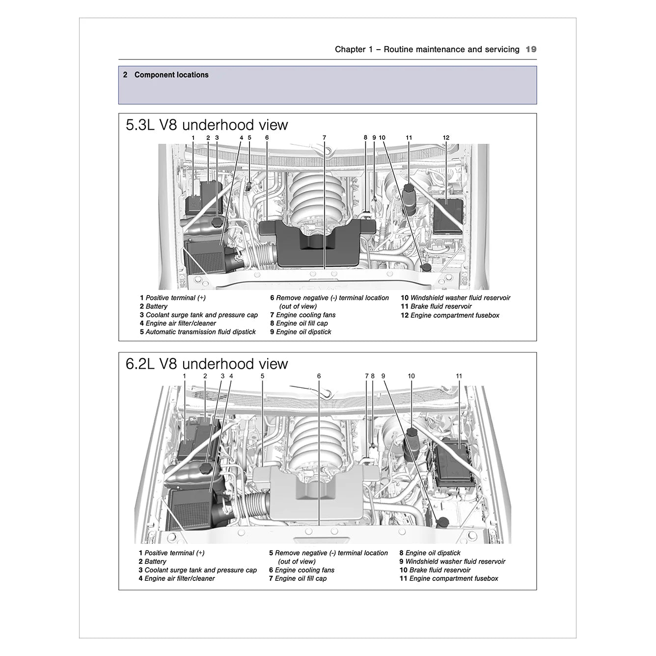 Technical diagram of 5.3L V8 and 6.2L V8 underhood views on a white background