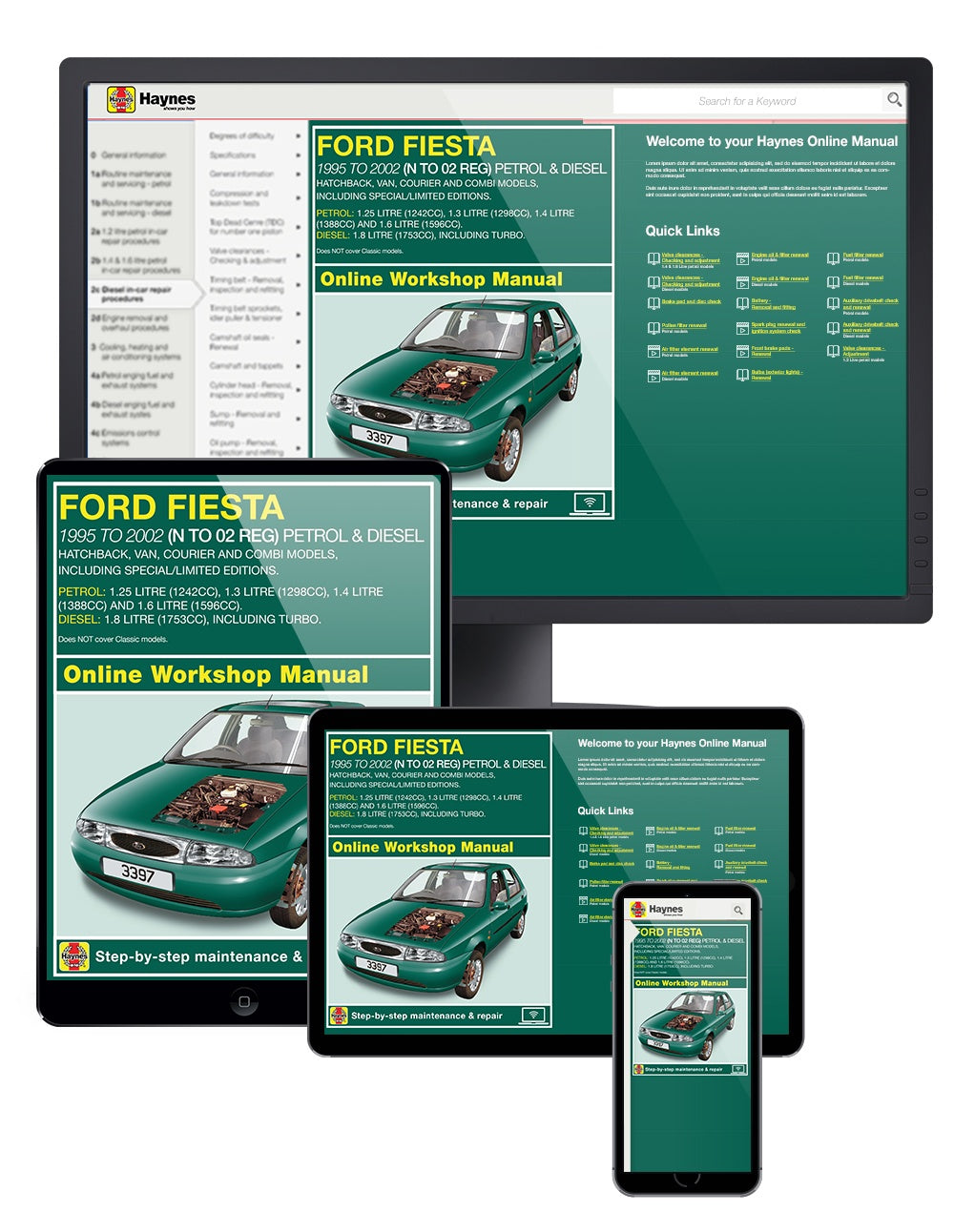 Ford Fiesta Petrol & Diesel (Oct 95 - Mar 02) Haynes Repair Manual