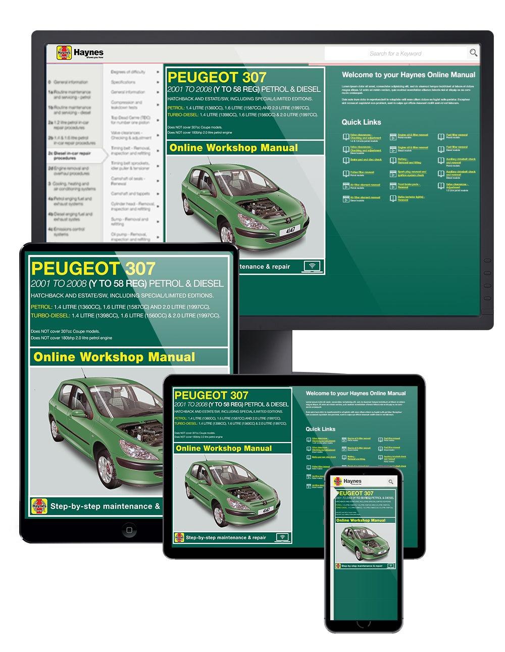 Peugeot 307 Petrol & Diesel (01 - 08) Haynes Repair Manual