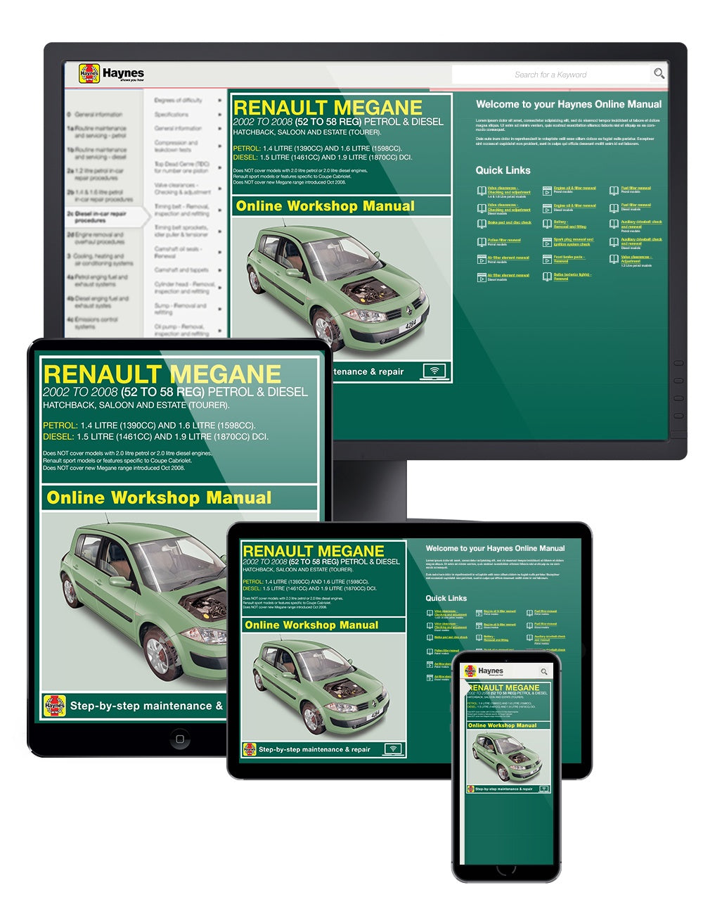 Renault Megane Petrol & Diesel (Oct 02 - 08) Haynes Repair Manual