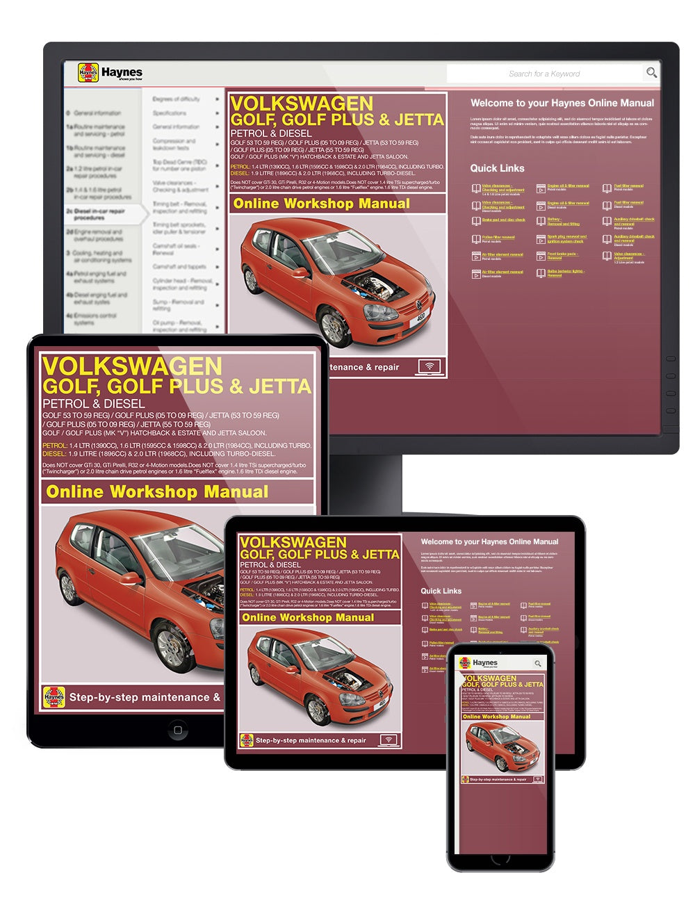 VW Golf (04 - Sept 08), Golf Plus (05 - Mar 09) & Jetta (06 - 09) Haynes Repair Manual