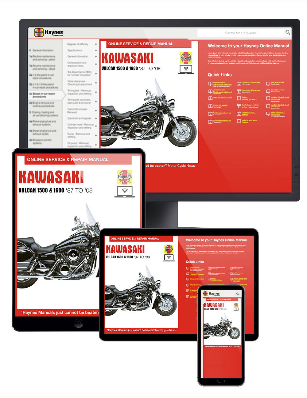 Kawasaki Vulcan 1500 (87-08) & 1600 (03-08) Haynes Repair Manual