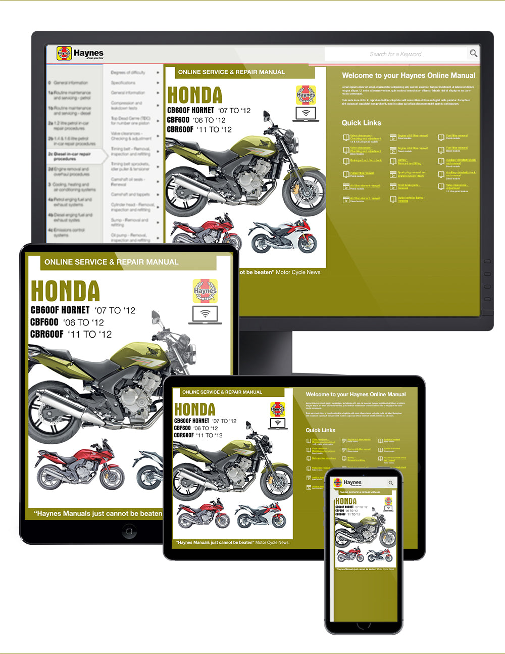 Honda CB600 Hornet, CBF600 & CBR600F (07-12) Haynes Repair Manual