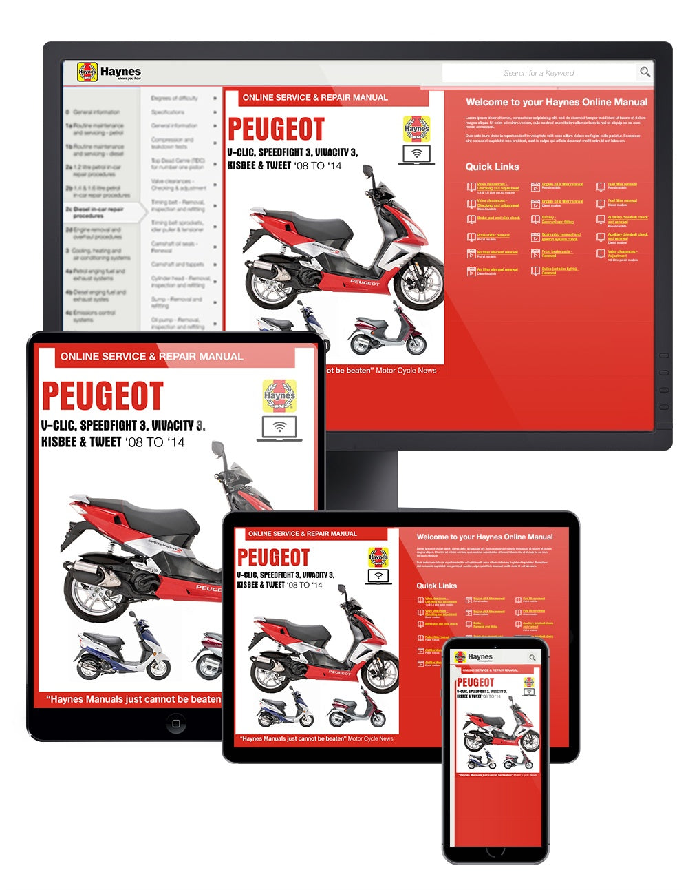 Peugeot V-Clic, Speedfight 3, Vivacity 3, Kisbee & Tweet (08 - 14) Haynes Repair Manual