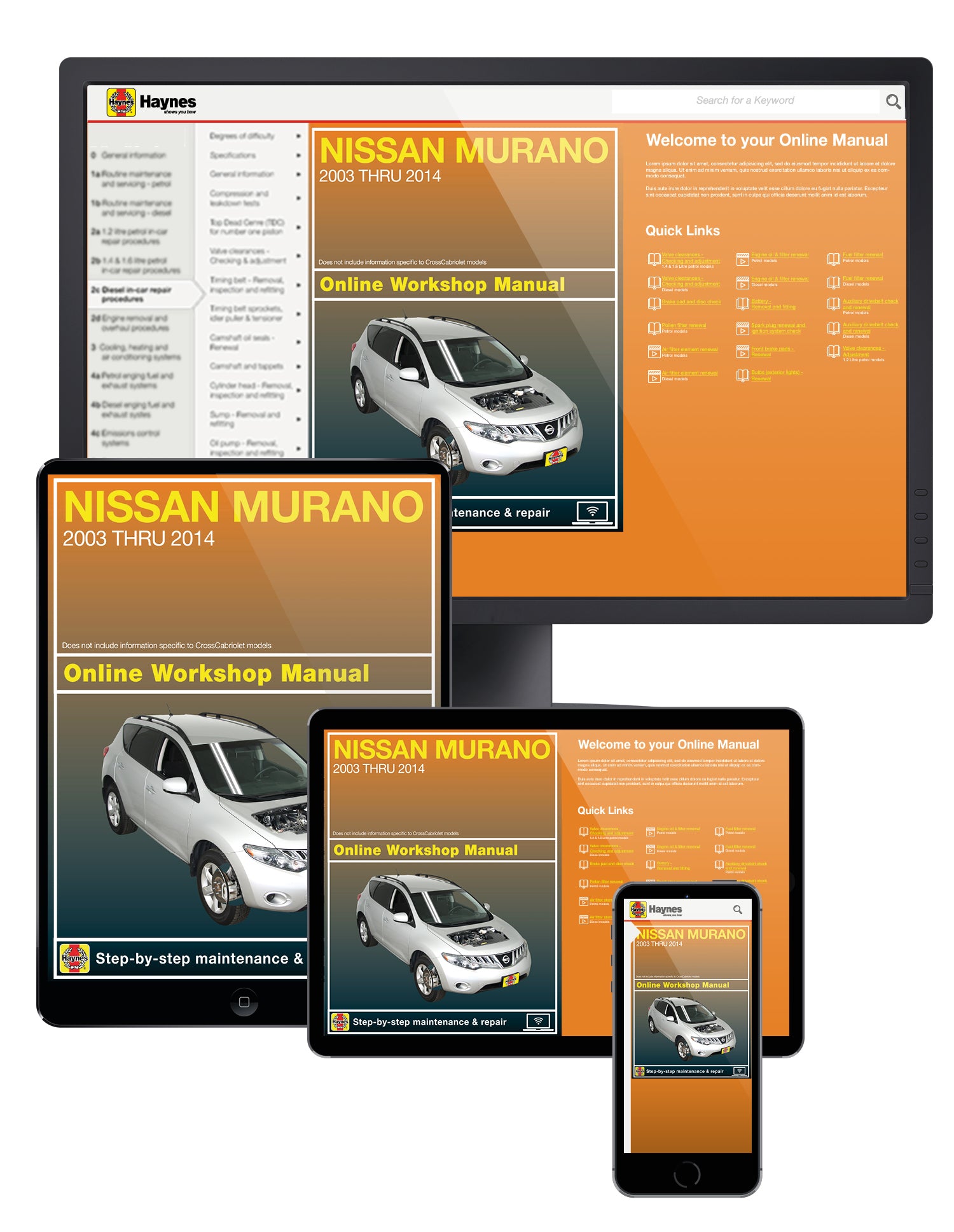 Nissan Murano (03-14) Haynes Repair Manual