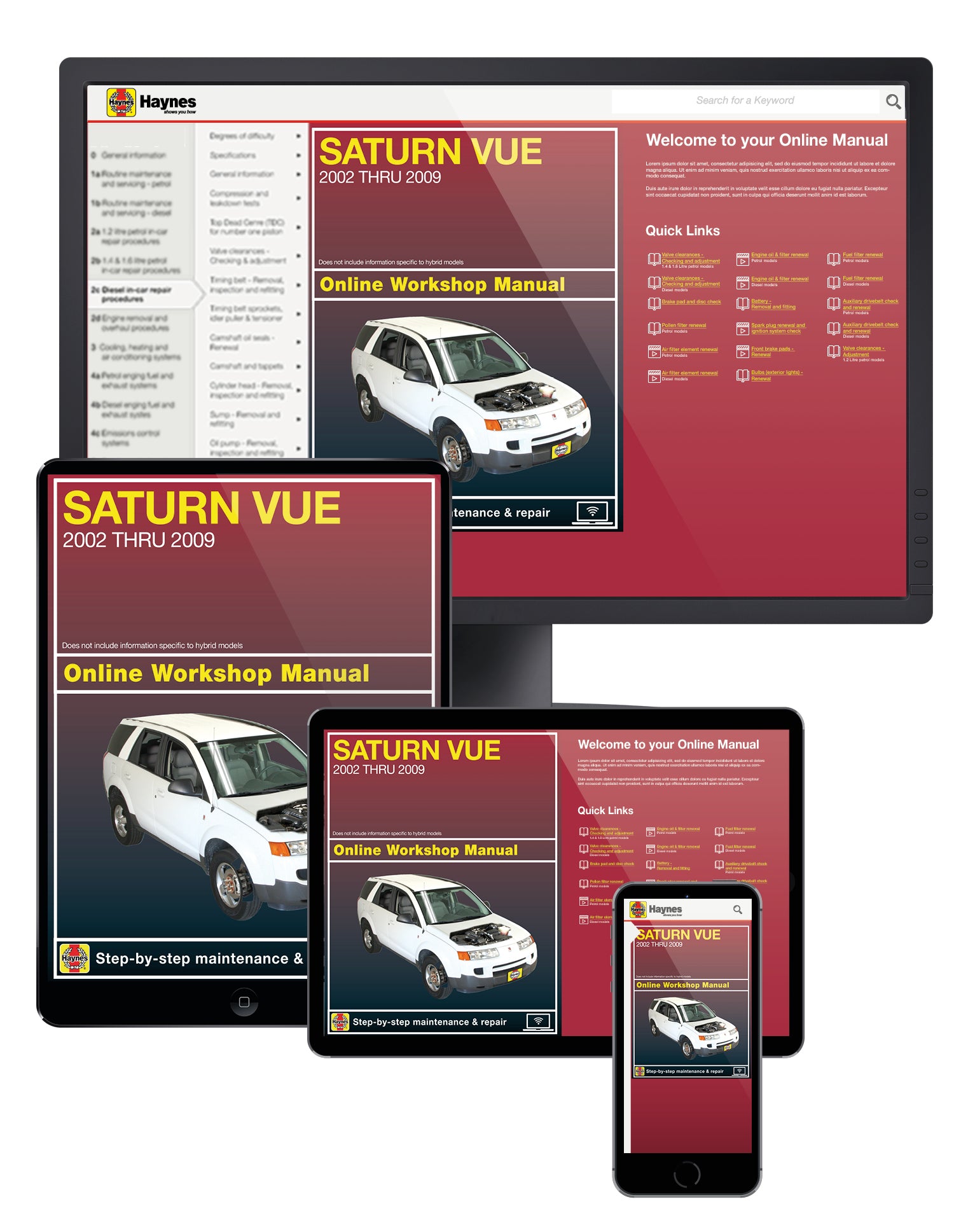 Saturn VUE (02-09) Haynes Repair Manual