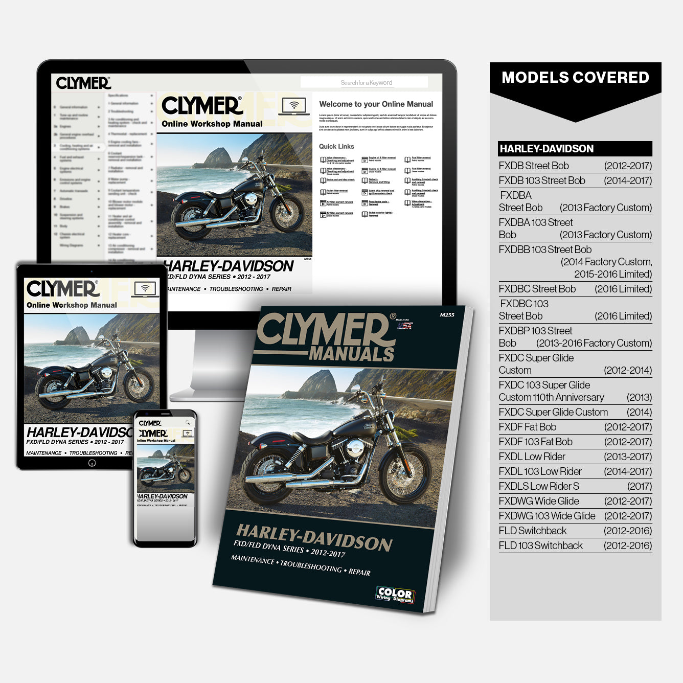 Harley-Davidson FXD/FLD Dyna Series (12-17) Clymer Repair Manual