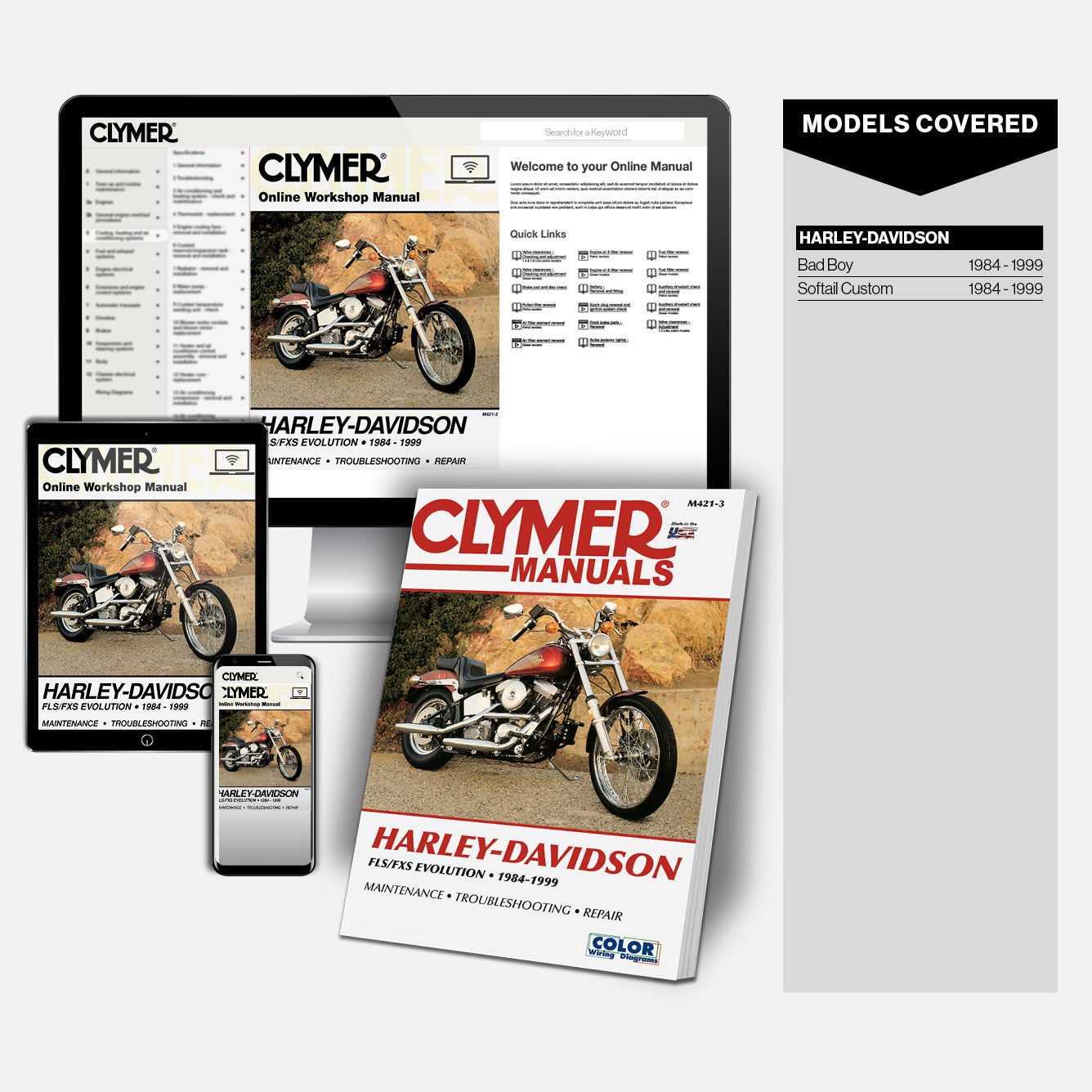 Book and Online Bundle