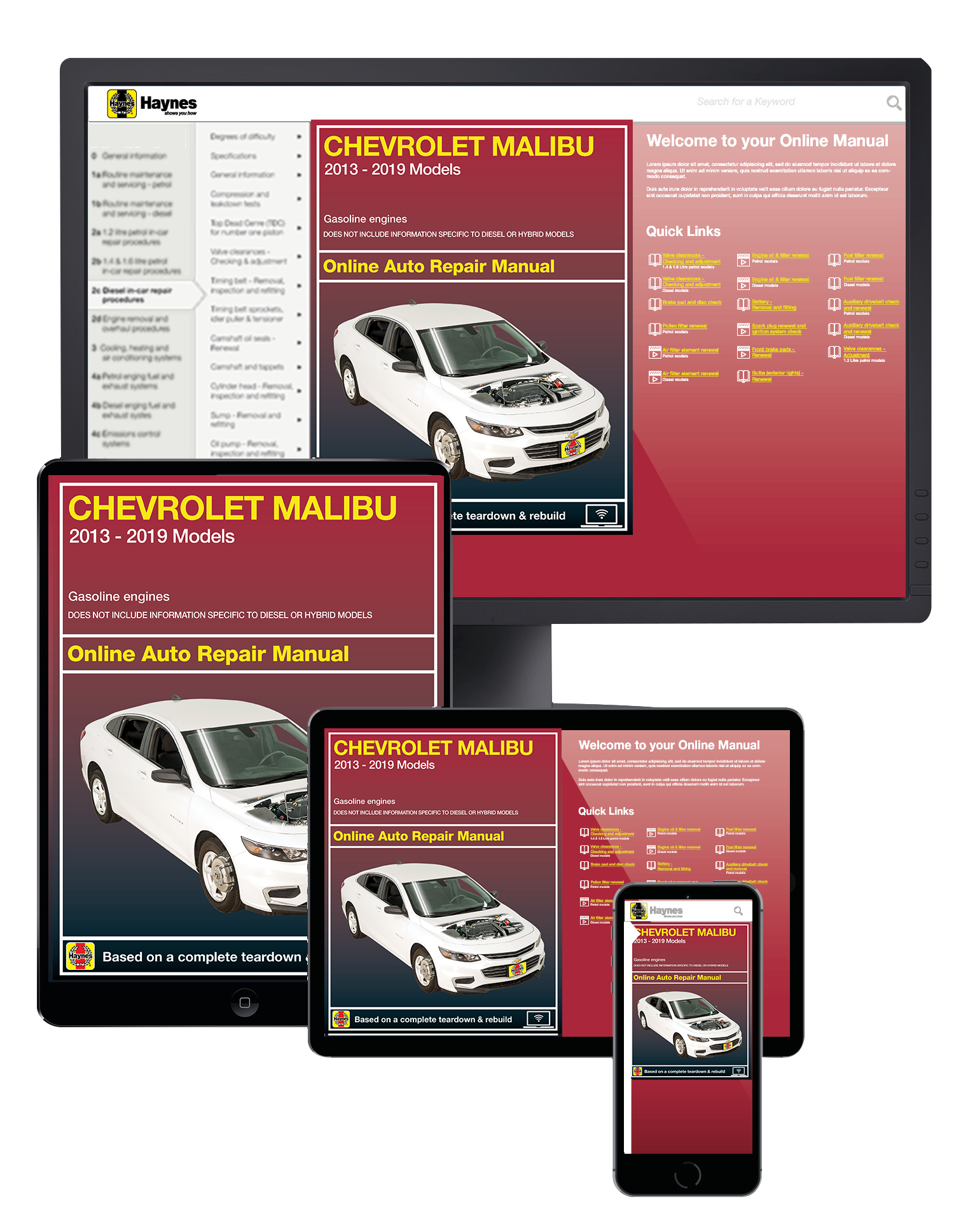 Front cover of a Haynes online repair manual
