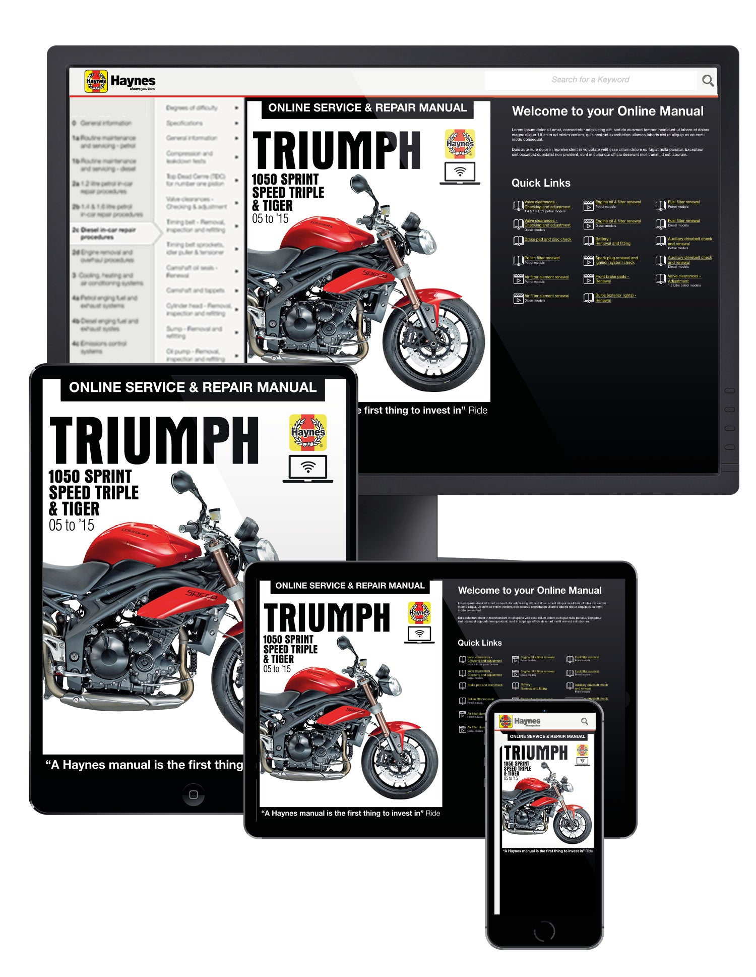 Triumph 1050 Sprint ST/GT, Speed Triple/R & Tiger/SE/Sport (05-15) Haynes Repair Manual