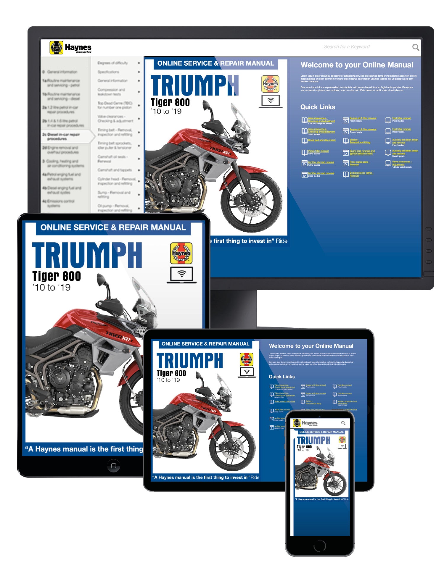 Triumph Tiger 800/800XC (10-19) Haynes Repair Manual (ABS versions included)