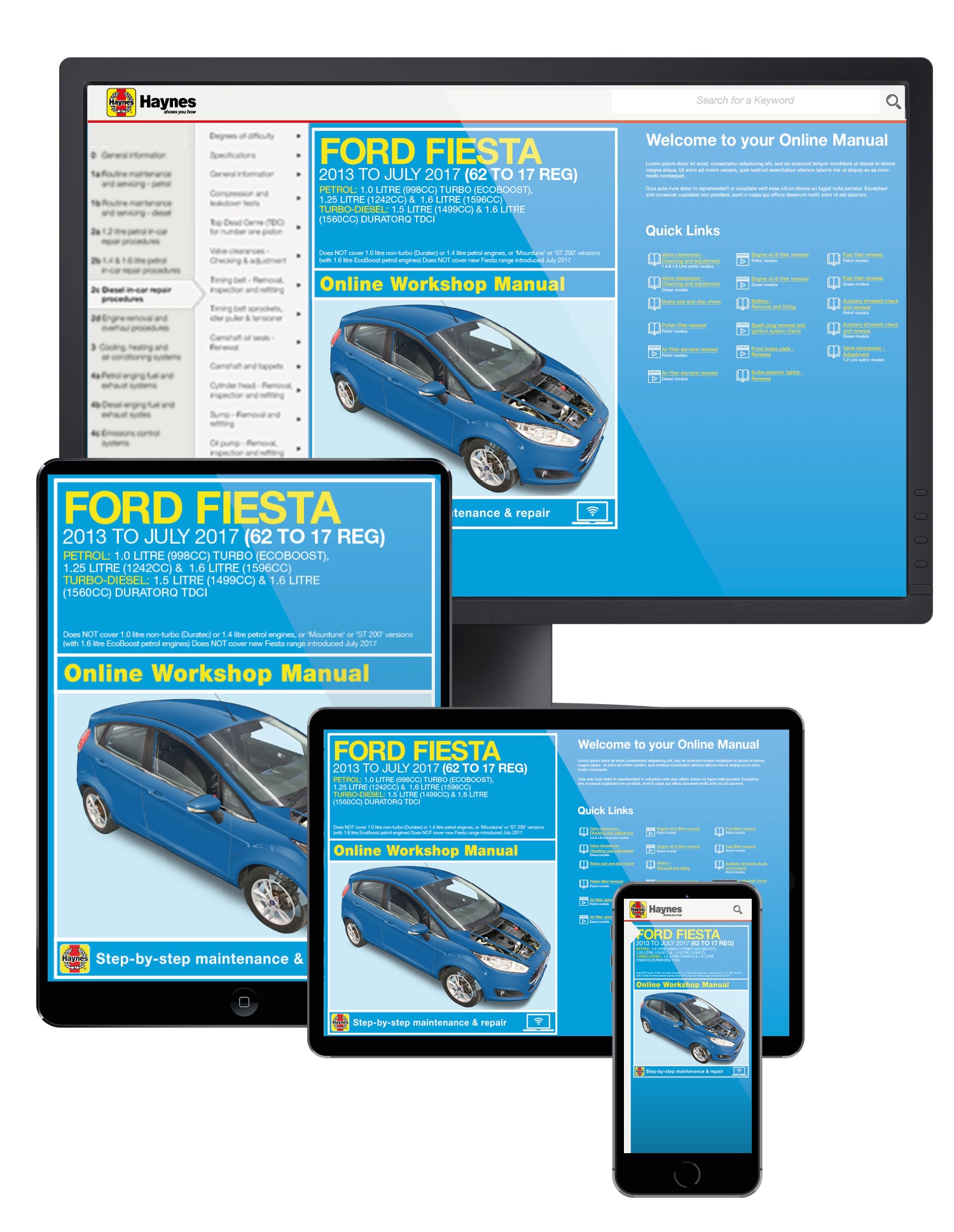 Ford Fiesta Petrol & Diesel (13 - 17) 62 to 17 Haynes Repair Manual
