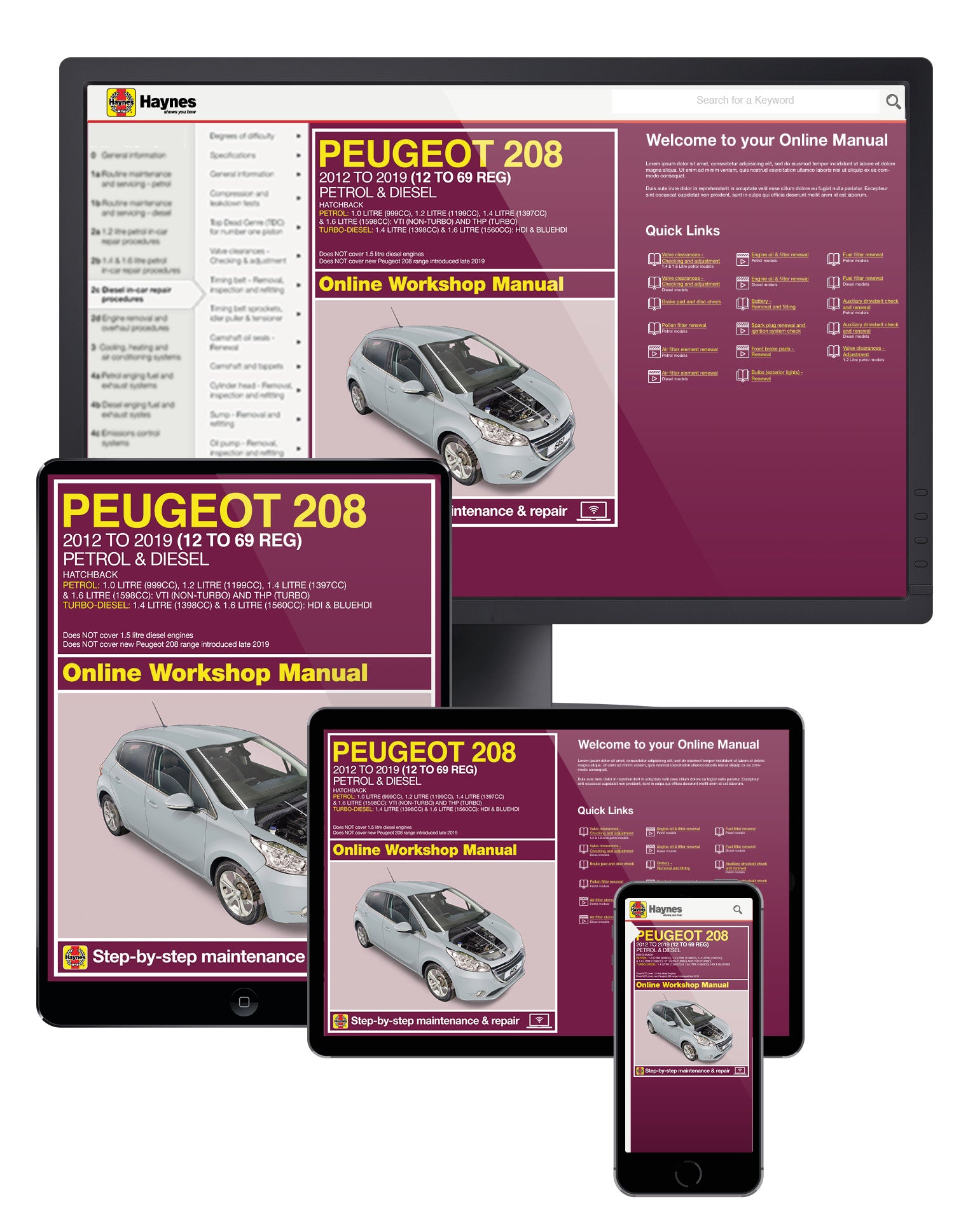 Peugeot 208 Petrol & Diesel (2012 to 2019) 12 to 69 reg Haynes Repair Manual