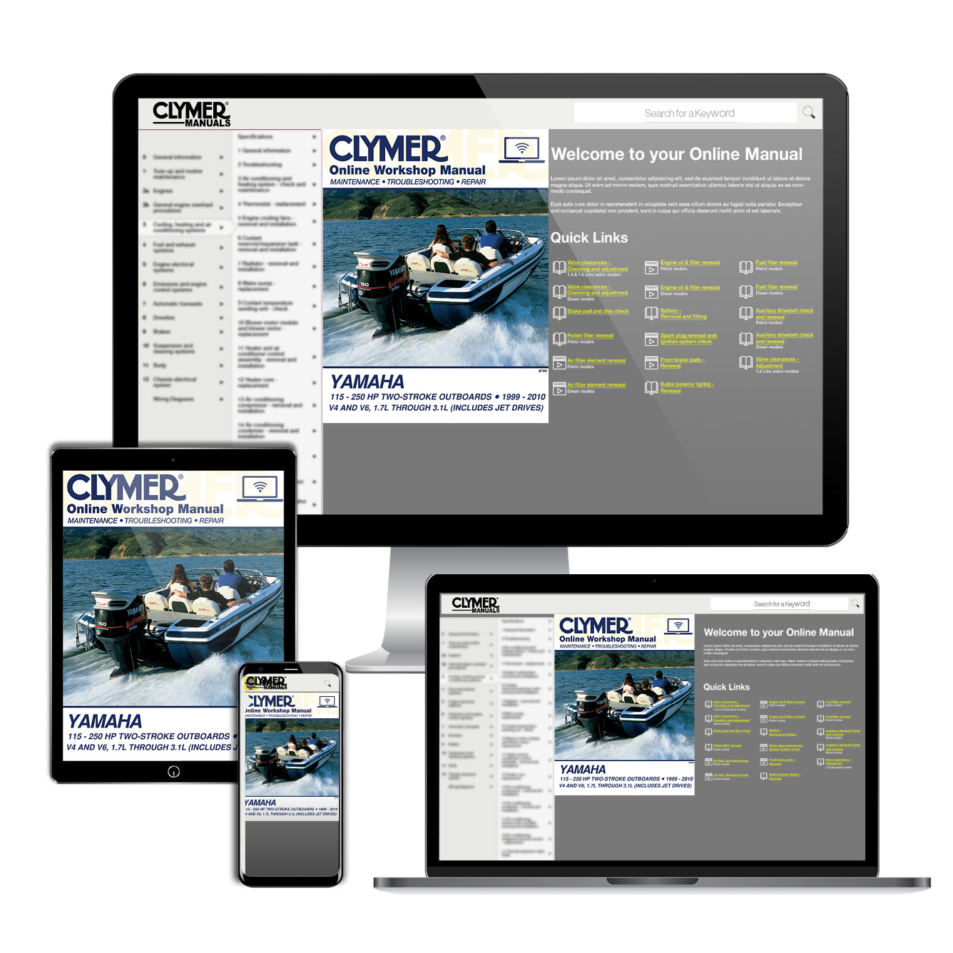 Yamaha 115-250 HP 2-Stroke Outboard & Jet Drives (1999-2010) Service & Repair Manual