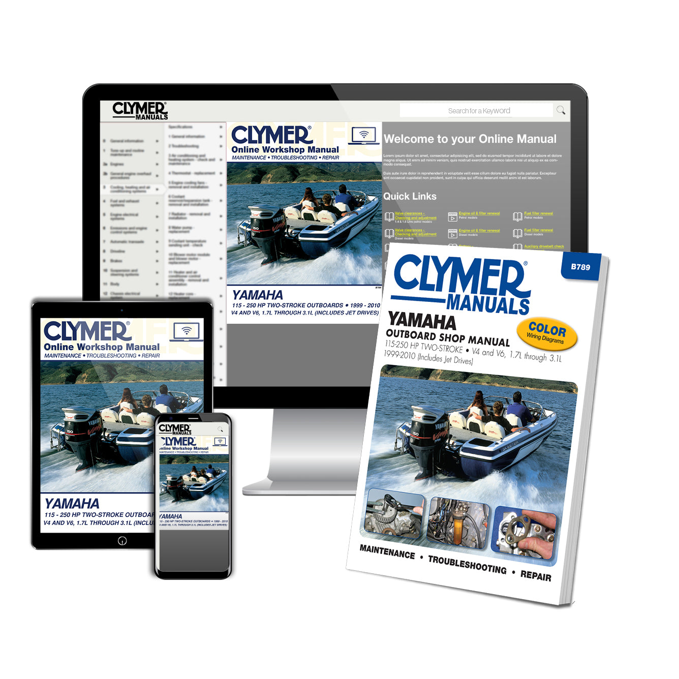 Yamaha 115-250 HP 2-Stroke Outboard & Jet Drives (1999-2010) Service & Repair Manual