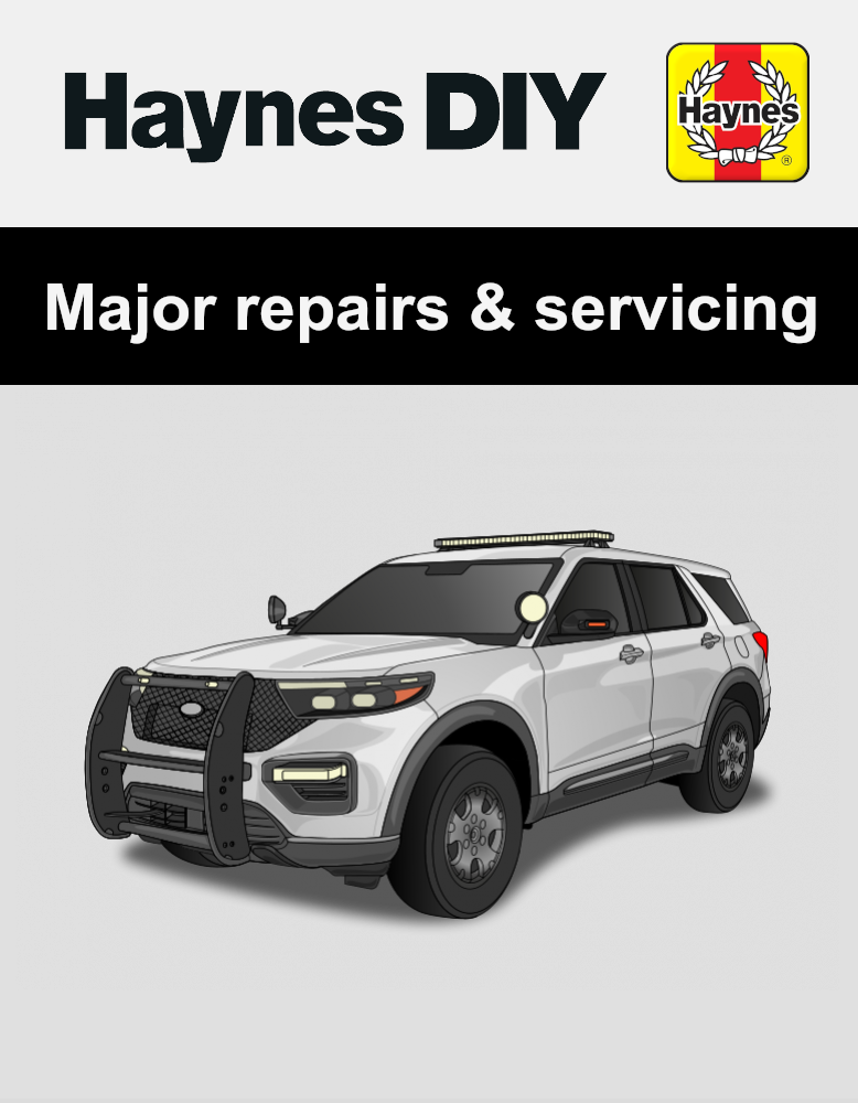 Haynes DIY Online Cover Image