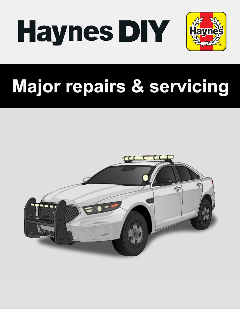 Haynes DIY Online Cover Image