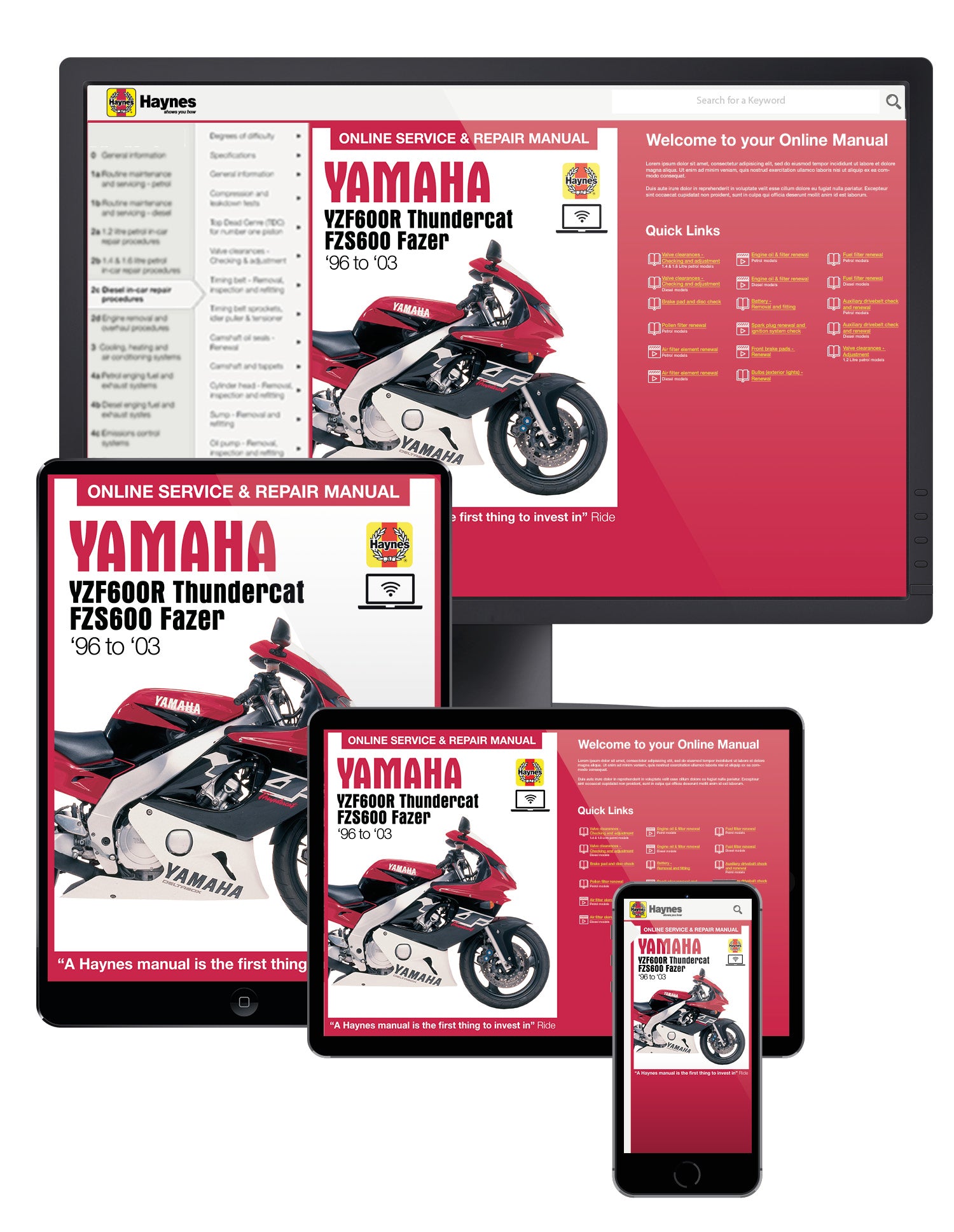 Yamaha YFZ600R Thundercat & FZS600 Fazer (96-03) Haynes Repair